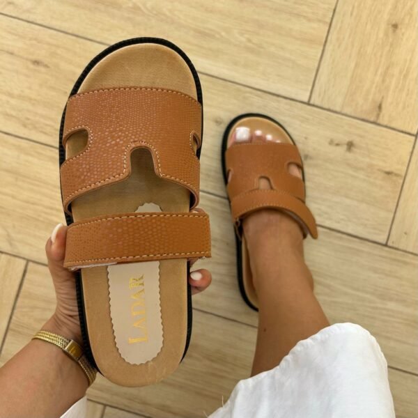 Mule à scratch camel