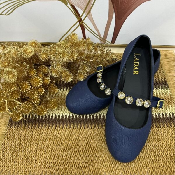 Ballerine bleu nuit (2)