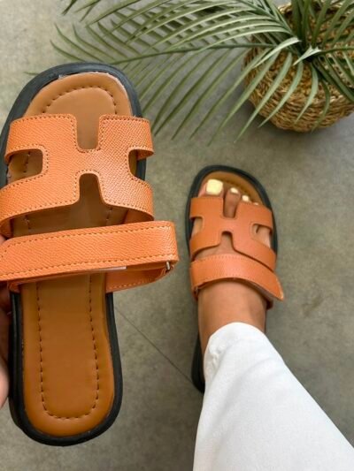 Mule H camel