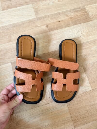 Mule H camel