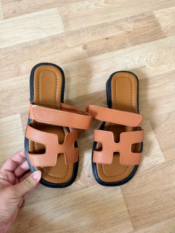 Mule H camel